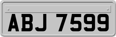 ABJ7599