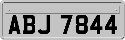 ABJ7844
