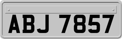 ABJ7857