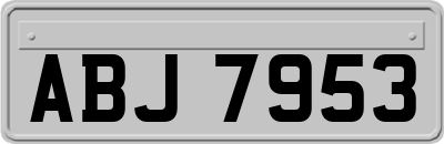 ABJ7953