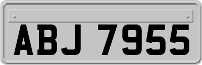 ABJ7955