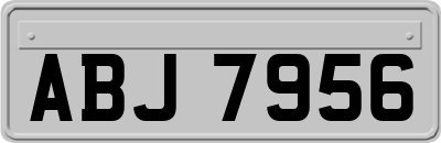 ABJ7956