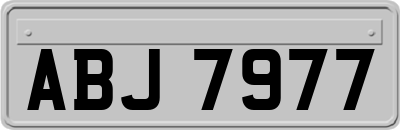 ABJ7977