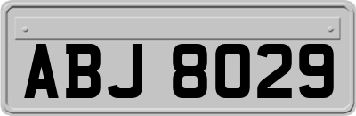 ABJ8029