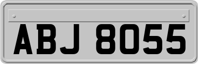 ABJ8055
