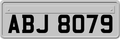 ABJ8079