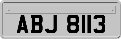 ABJ8113