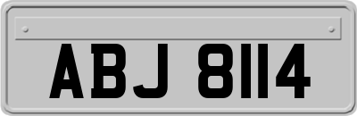 ABJ8114