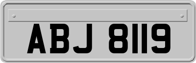 ABJ8119