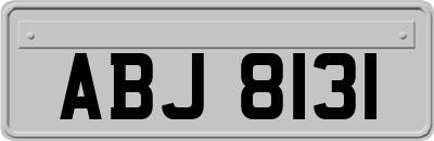 ABJ8131