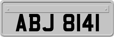 ABJ8141