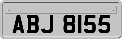 ABJ8155