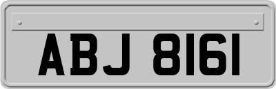 ABJ8161