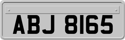 ABJ8165