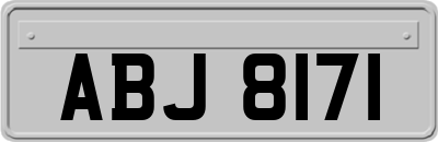 ABJ8171
