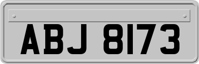 ABJ8173