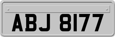 ABJ8177
