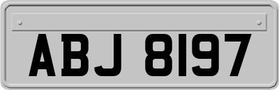 ABJ8197