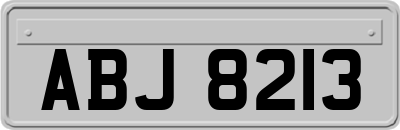 ABJ8213