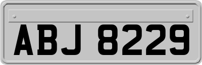 ABJ8229