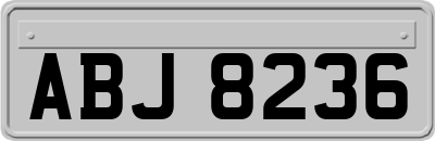 ABJ8236