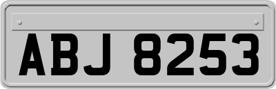 ABJ8253