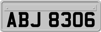 ABJ8306