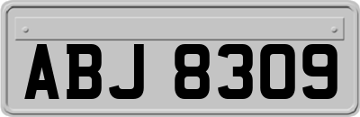 ABJ8309