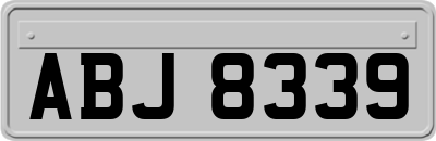 ABJ8339