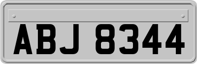 ABJ8344