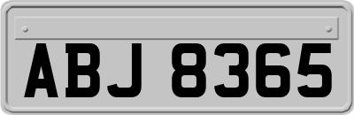 ABJ8365