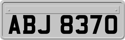 ABJ8370