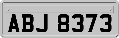 ABJ8373