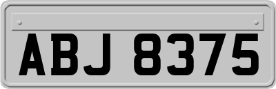 ABJ8375