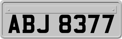 ABJ8377