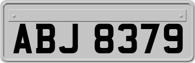 ABJ8379