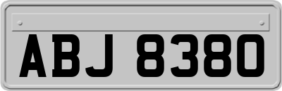 ABJ8380