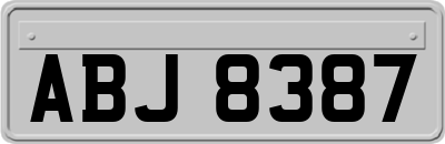 ABJ8387