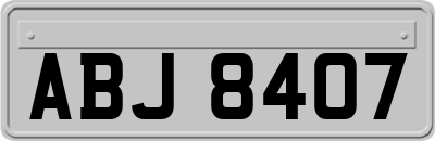 ABJ8407