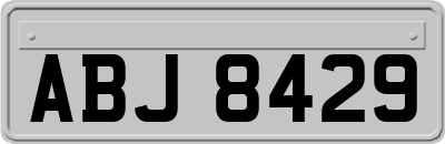 ABJ8429
