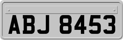 ABJ8453