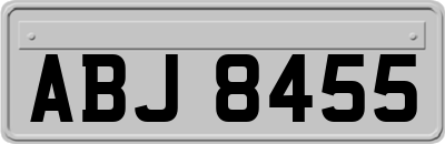 ABJ8455