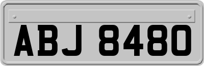 ABJ8480