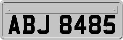 ABJ8485