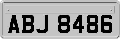 ABJ8486