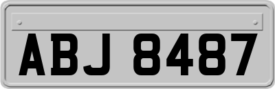 ABJ8487