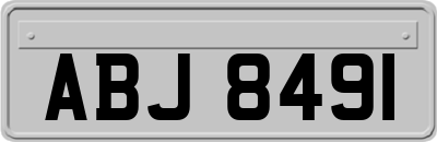 ABJ8491