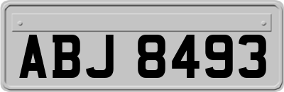 ABJ8493