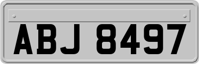 ABJ8497