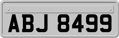ABJ8499